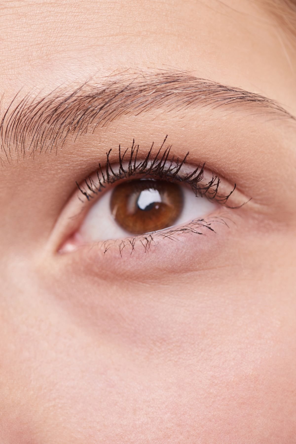Nahaufnahme einer Augenpartie mit Braue und Wimpern